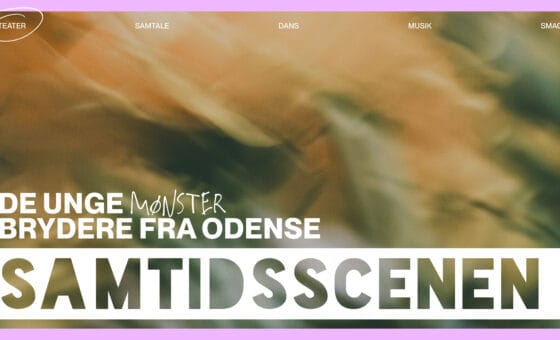 DE UNGE MØNSTERBRYDERE FRA ODENSE