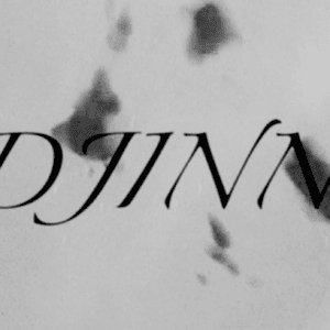 DOKUMENTARVISNING & AFTER TALK: DJINN