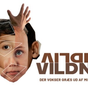VILDNIS